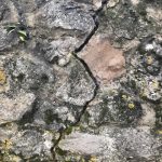 eco wall crack